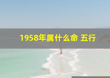 1958年属什么命 五行